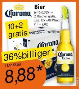 Norma Corona Bier Angebot