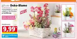 Norma bella casa Deko-Blume Angebot