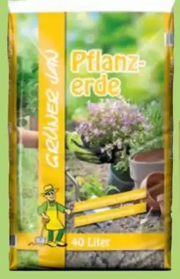 Thomas Philipps Grüner Jan Pflanzerde Angebot