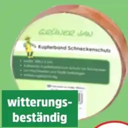 Thomas Philipps Grüner Jan Kupferband Angebot