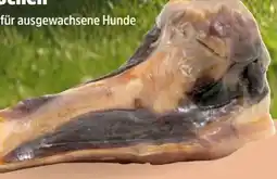 Thomas Philipps Schinkenknochen Angebot