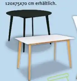 Trends Möbel Esstisch Vojens Angebot