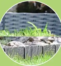 Thomas Philipps Rasenkante Boarder Angebot