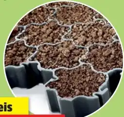 Thomas Philipps Rasengitterplatten Angebot