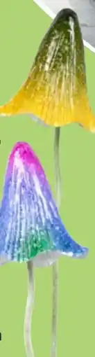 Thomas Philipps Dekostecker Pilz Angebot