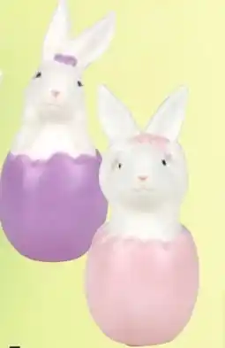 Thomas Philipps Hase Im Osterei Angebot