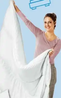 Trends Möbel Steppbett Highland Angebot