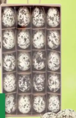 Thomas Philipps Mini-Wachteleier Angebot