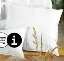 Ostermann Sansibar Kissen Ocean Dream Angebot