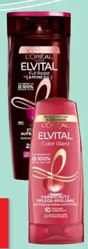 Thomas Philipps L'Oréal Paris Elvital Shampoo Angebot