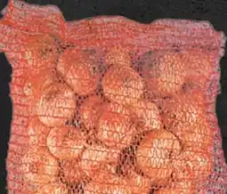 Thomas Philipps Speisezwiebeln XXL Angebot