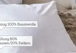 XXXLutz Billerbeck Kopfkissen Polarstern Angebot