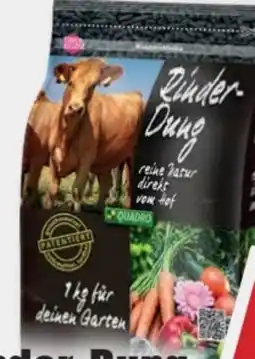 B1 Discount Baumarkt Quadro Rinderdung Angebot