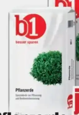 B1 Discount Baumarkt B1 Pflanzerde Angebot