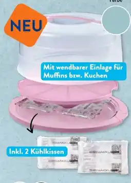 Aldi Süd Crofton Kuchencontainer Angebot