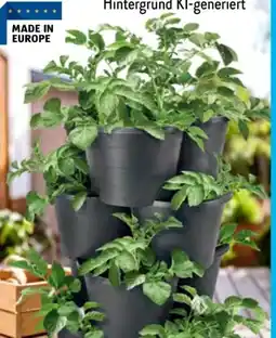 Aldi Süd Belavi Pflanzturm Angebot