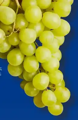 Aldi Süd Trauben Angebot