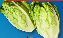 Aldi Süd Salatherzen Mini Romana Angebot