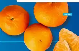 Aldi Süd Mandarinen Angebot
