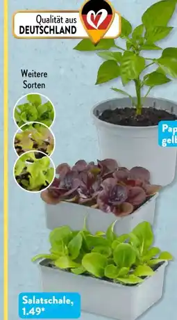 Aldi Süd Gardenline Premium Gemüsepflanzen Angebot