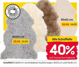 Rusta Schaffell Angebot