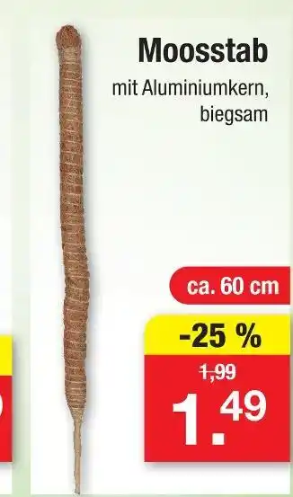 Zimmermann Moosstab Angebot
