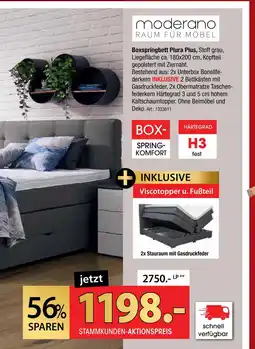 Zurbrüggen Moderano boxspringbett plura plus Angebot