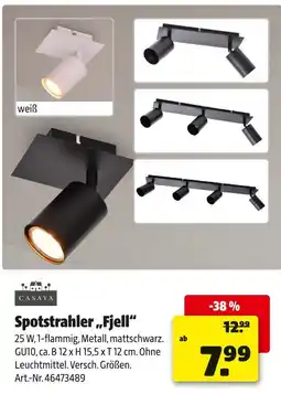Hagebau Casaya spotstrahler fjell Angebot