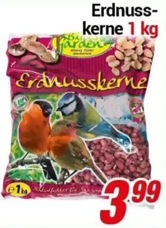 CENTERSHOP Erdnusskerne Angebot