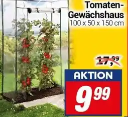 CENTERSHOP Tomaten Gewächshaus Angebot