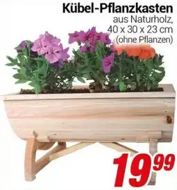 CENTERSHOP Kübel-Pflanzkasten Angebot