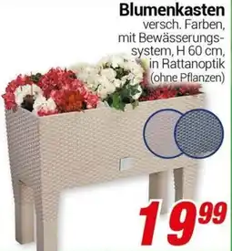 CENTERSHOP Blumenkasten Angebot