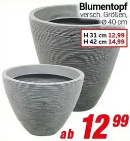 CENTERSHOP Blumentopf Angebot