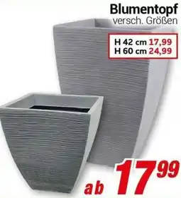 CENTERSHOP Blumentopf Angebot