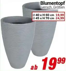 CENTERSHOP Blumentopf Angebot