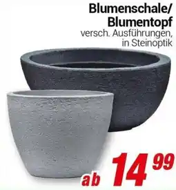 CENTERSHOP Blumenschale/ Blumentopf Angebot