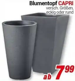 CENTERSHOP Blumentopf CAPRI Angebot