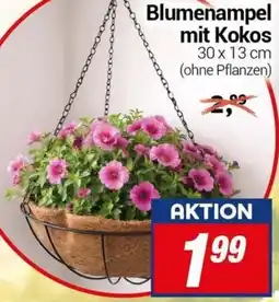 CENTERSHOP Blumenampel mit Kokos Angebot
