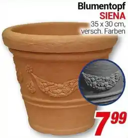 CENTERSHOP Blumentopf SIENA Angebot