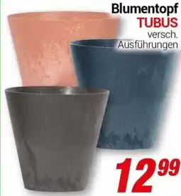 CENTERSHOP Blumentopf TUBUS Angebot