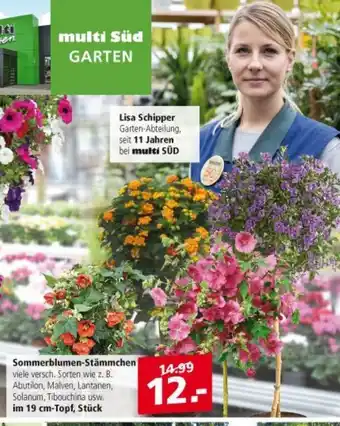 Multi Markt Sommerblumen Stämmchen Angebot