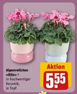 REWE Alpenveilchen Djix Angebot