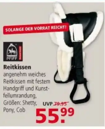 Multi Markt Reitkissen Angebot