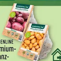 Aldi Nord Gardenline Premium-Pflanzkartoffeln Angebot