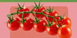 Aldi Nord Mini Cherry Rispentomaten Angebot