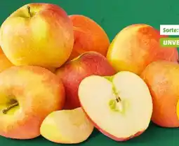 PENNY Marktliebe Regional Äpfel Braeburn Angebot