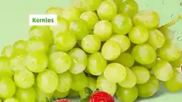 PENNY Tafeltrauben Angebot