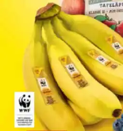 Netto Marken-Discount MarktTag Bananen Angebot