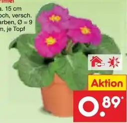Netto Marken-Discount Primeln Angebot