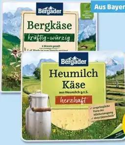 PENNY Bergader Bergkäse Angebot